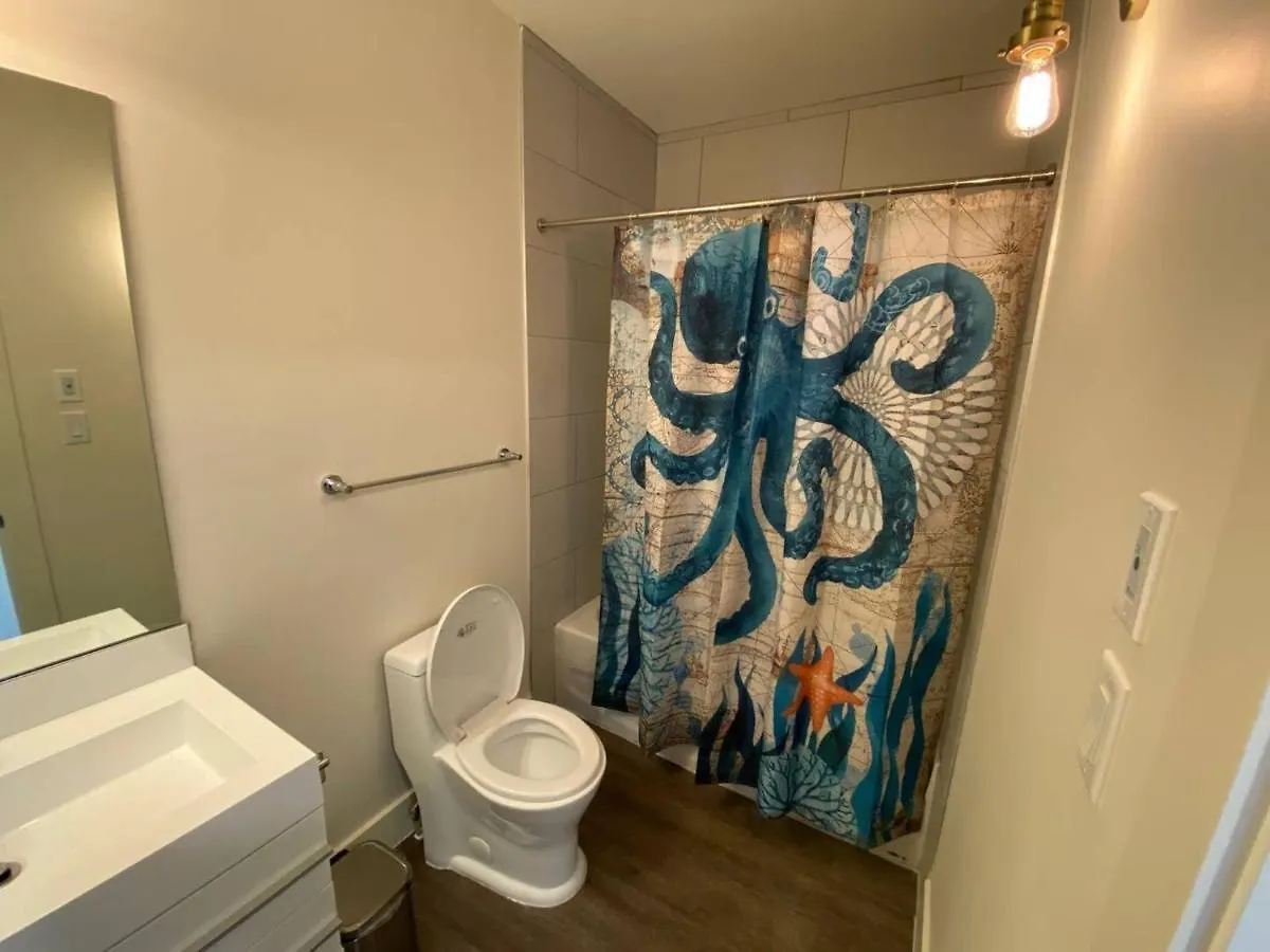 Lovely 1 Bedroom Condo With Free Parking And Balcony 에드먼턴